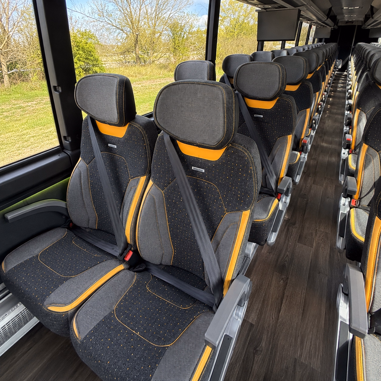 charter buses to the detroit zoo right here in royal oak
